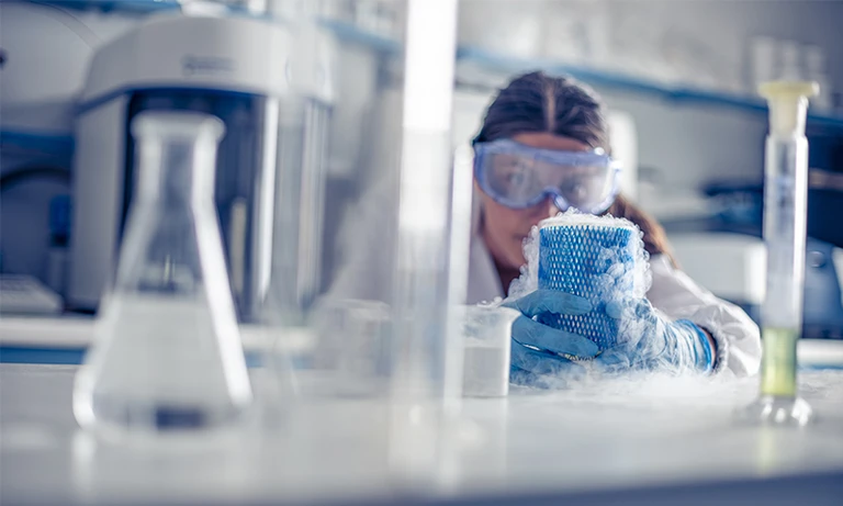 Corporate Shooting Nuova Sima